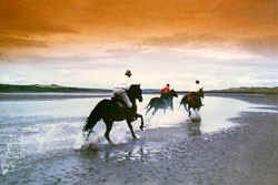 Courtesy of Cross Country International