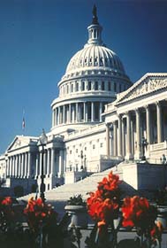 U.S. Capitol in springtime. Courtesy of Washington D.C. Convention and Visitors Association. 