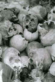 Copyright Victoria Brooks. 