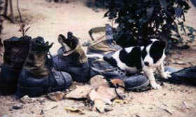 Copyright Victoria Brooks.