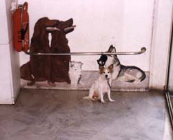 Park your dog at the Bon March� � James Priest.