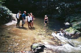 Our guide and naturalist Courtenay Rooks leads us on a flora and fauna walk in the Marianne River. � 2000 Warren Lieb.