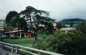 The lush ranchland of the high country. � Micha Pringle. 