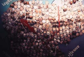 Used with permission.