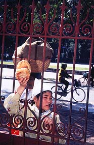 A young girl tries desperately to sell baguettes through the iron fence surrounding the museum. Copyright Victoria Brooks.