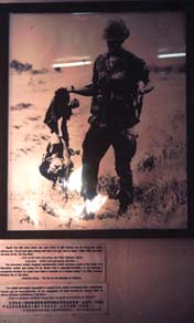 Copyright Victoria Brooks.