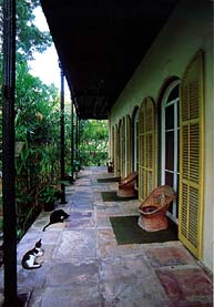 Hemingway was very fond of cats and kept 50 to 60 of them in his Key West house. Copyright Werner Bertsch. 