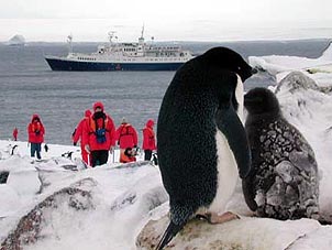 Penguins keep a wary eye on a boatful of strange visitors. Copyright Cynthia Boal Janssens.