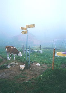 A hiker�s signpost. Copyright: Tyson Brooks.