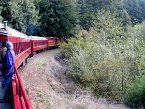 The mighty steam-powered train rounds a bend. Copyright Larry Wagner