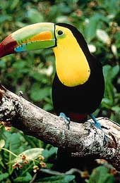 � Island Expeditions Co. 