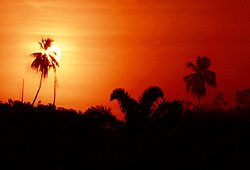 � Island Expeditions Co. 