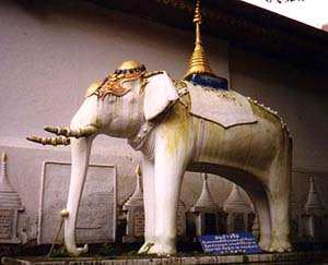Statue of the peripatetic elephant that selected the site for a temple in Chiang Mai. Copyright David Priest