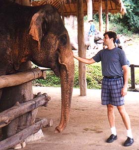 Copyright David Priest