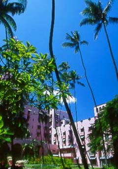 The beautiful Royal Hawaiian hotel. Copyright Milton Fullman