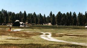 The road through the National Park. Copyright Tyson Brooks.