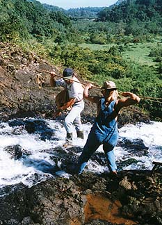 Copyright Jim Johnson. Kalihiwai Falls offer excitement at the top�