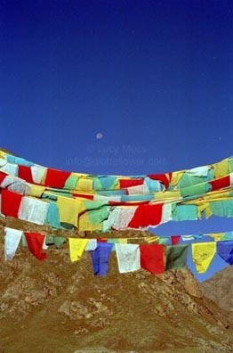 Tibetan prayer flags flutter. Copyright: Lucy Moss.
