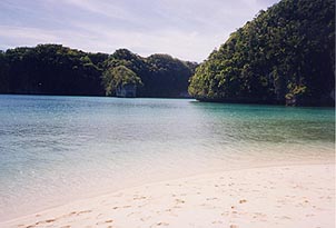The white sand beach of one of Palau's uninhabited Rock Islands. Copyright: Tracey Lovejoy.
