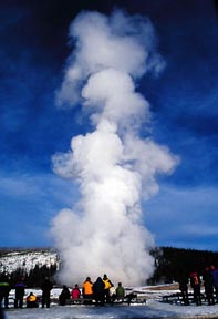 Old faithful doing its thing, right on schedule. Copyright: Warren Lieb.