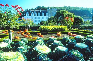Cabbages and pumpkins in Villandry's famous vegetable garden. Copyright: Mary O�Brien.