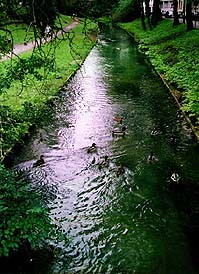 Augsburg�s canals provide a perfect setting for ducks - and people. Copyright: Jim Johnson.
