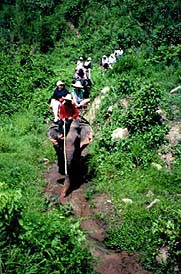 Copyright: Warren Lieb.