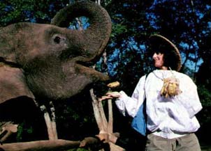 Copyright: Warren Lieb.