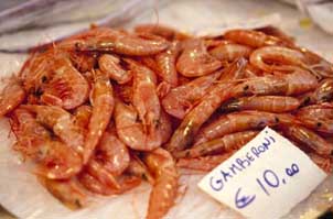 Gaberoni Shrimp � Warren Lieb