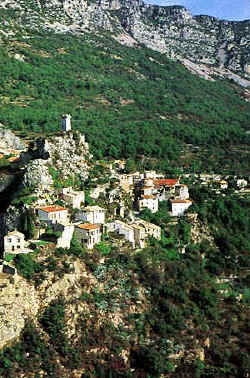 Copyrighted photo - used with permission.