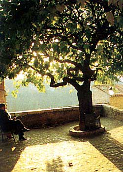 Copyrighted image - used with permission.