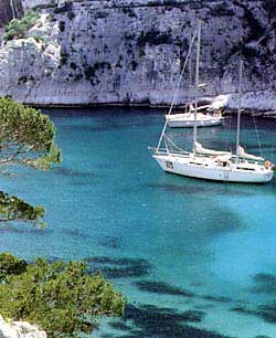 Copyrighted image - used with permission.