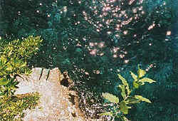 Copyright Victoria Brooks 1998.