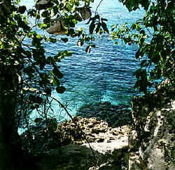 Copyright Victoria Brooks 1998.