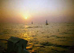 Copyright 1998 Frank Stone.