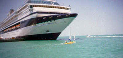 Copyright 1998 Frank Stone.