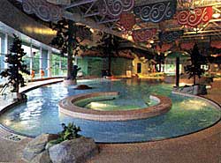 The hot tub in the Chateau Whistler. Copyrighted image - used with permission.