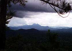 Eighty percent of Belize's rainforest remains under government protection, much of it unexplored. Copyright Jim Johnson.