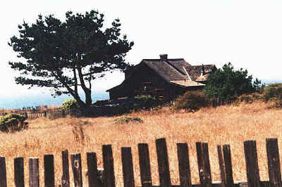 Copyright 1998 Victoria Brooks.