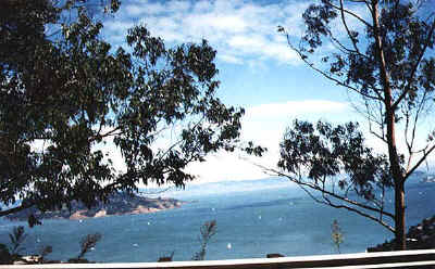 Copyright 1998 Victoria Brooks.