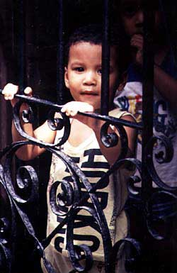 Copyright Victoria Brooks 1998.