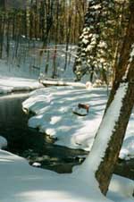 With the entire family gathered, a roaring fire in the fireplace and a thick layer of snow, it promised to be an ideal Christmas. Courtesy of Seven Pines Lodge.