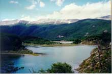  The landscape is stunning at this end of the world, but a closer look reveals its truly surreal nature. � Adam Freedman. 