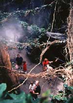 Enter the lush, dense rain forest of the Indonesian River Journey exhibit, where sunlight is almost entirely blocked by the dense foliage of the towering, vine-covered trees. � Scott Dressel-Martin/ Colorado�s Ocean Journey. 