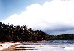 copyright Jim Johnson