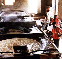 At the River Antoine Rum Distillery, workers start converting cane juice to molasses. Copyright Jim Johnson.