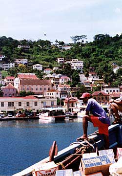 A freighter enters the harbour of St. George, its pastel buildings a perfect backdrop for the turquoise sea. Copyright Jim Johnson.
