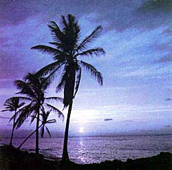 Copyright Goldeneye, Oracabessa, Jamaica.