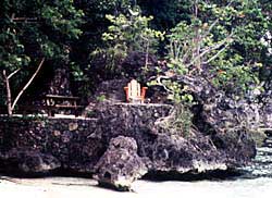 Fleming's proud purchase. Copyright Victoria Brooks