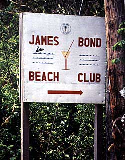 Yes dahling... Copyright Victoria Brooks